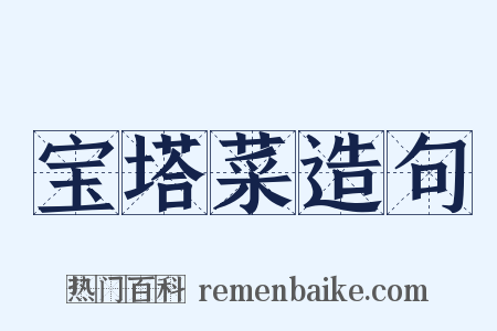 宝塔菜造句是什么意思的图片